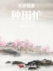 小说农家福妻